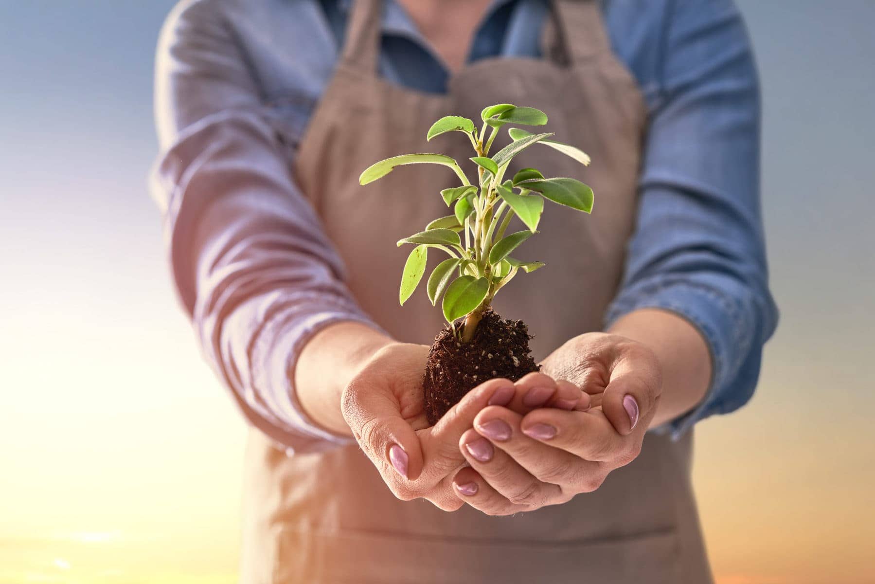 Green Marketing Storytelling